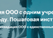 Ликвидация ООО с одним учредителем в 2023 году. Пошаговая инструкция