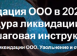 Ликвидация ООО в 2023 году. Процедура ликвидации ООО и пошаговая инструкция